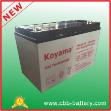 OEM 12V 100ah Lead Acid Gel Battery